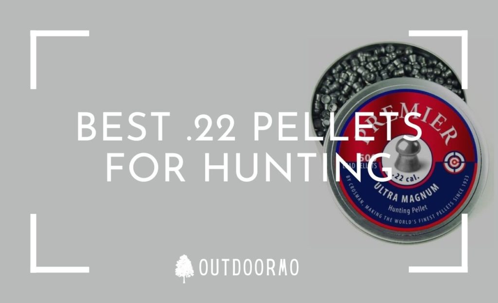 best .22 pellets for hunting - Best 22 Pellets for Accuracy and Hunting | Top 10 reviewed