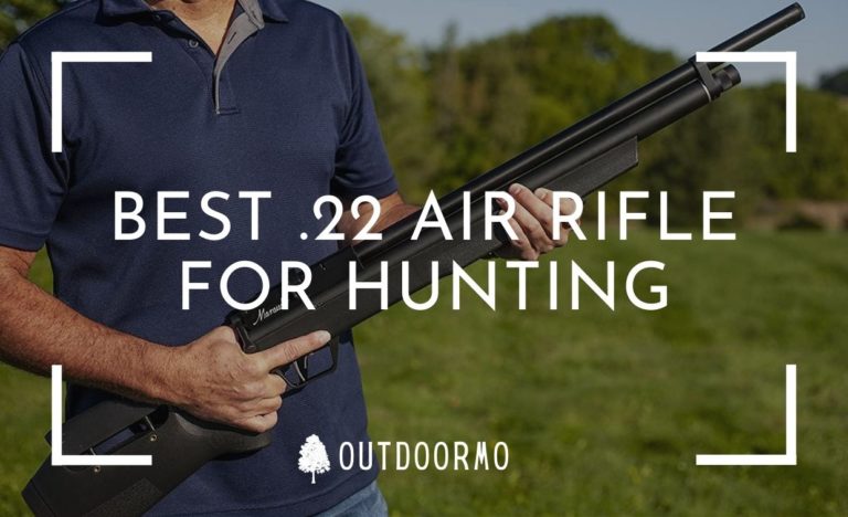 best .22 air rifle for hunting - Can You Take Rocks From State Parks in Missouri - Helpful Guide to Rock Hunting Law
