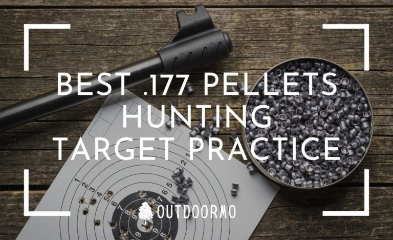 Top 10 of the best 177 pellets for hunting and target practice