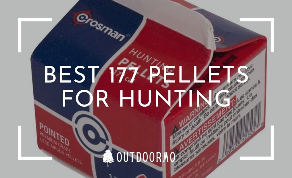 Best 177 Pellets for Hunting, Accuracy, Small Things (2021)