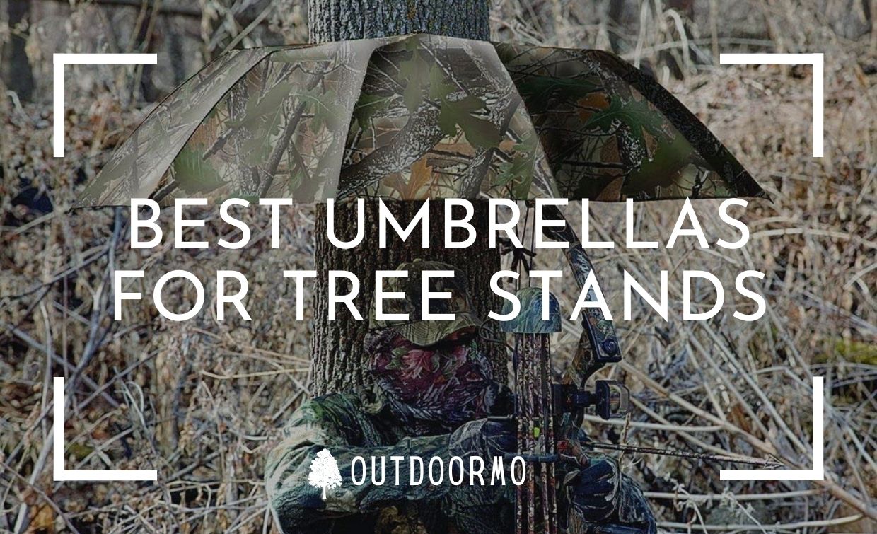 Best umbrellas for tree stands