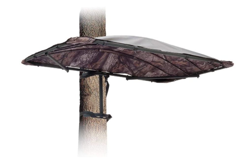 A hunting umbrella is attached to the tree