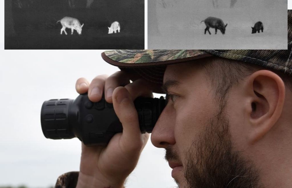 A hunter is watching two pigs with a thermal scope in his eyes