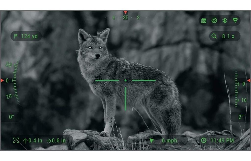 A fox is being watched with the help of thermal scope night