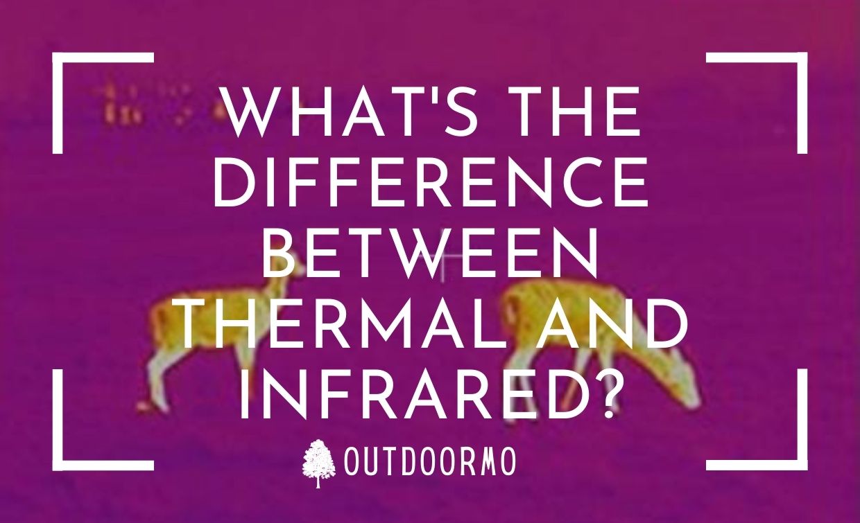 What's the difference between thermal and infrared
