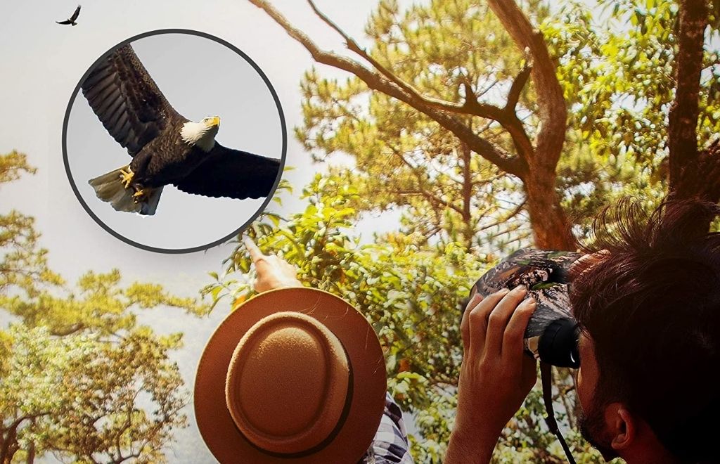 Two hunters are watching an eagle with binocular