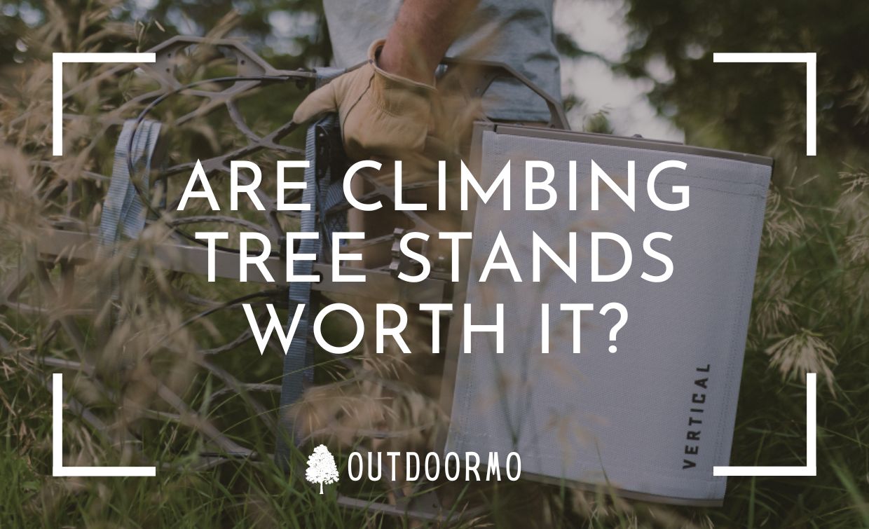 Are Climbing Tree Stands Worth It