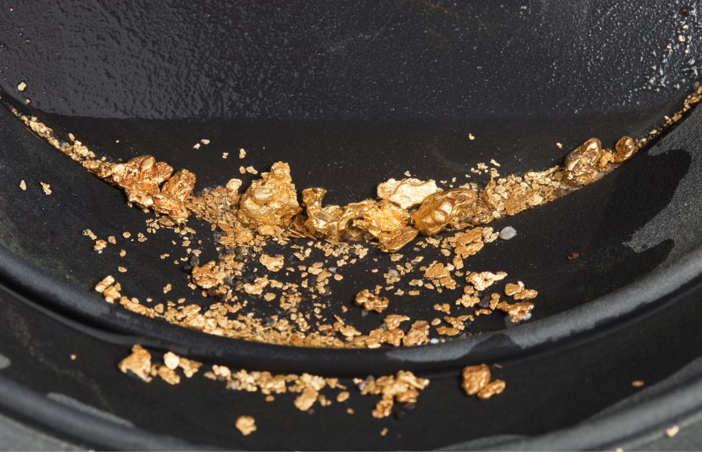 Many pieces of gold on a panning